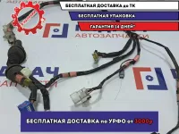Проводка двери передней левой Toyota Land Cruiser Prado (90) 8250660030.