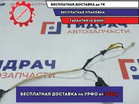 Подсветка номерного знака Toyota Land Cruiser Prado (90) .