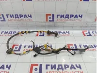 Проводка двери задней левой Toyota Land Cruiser Prado (J120) 8215460040