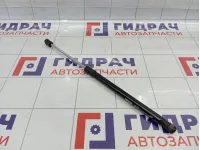 Амортизатор капота левый Toyota Land Cruiser Prado (J120) 5345069055