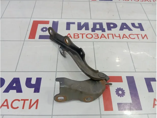 Петля капота правая Toyota Land Cruiser Prado (J120) 5341035060