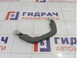 Ручка потолочная внутренняя правая Toyota Land Cruiser Prado (J120) 7462060050B1