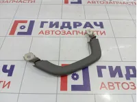 Ручка потолочная внутренняя правая Toyota Land Cruiser Prado (J120) 7462060050B1