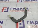Ручка потолочная внутренняя правая Toyota Land Cruiser Prado (J120) 7462060050B1