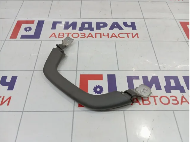 Ручка потолочная внутренняя левая Toyota Land Cruiser Prado (J120) 7463060050B1