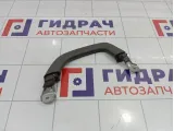 Ручка потолочная внутренняя левая Toyota Land Cruiser Prado (J120) 7463060050B1