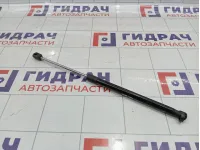 Амортизатор капота правый Toyota Land Cruiser Prado (J120) 5344069055