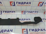 Накладка двери багажника Toyota Land Cruiser Prado (J150) 76893-60020