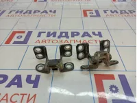 Петли двери багажника Toyota Land Cruiser Prado (J150)