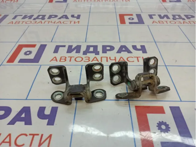 Петли двери багажника Toyota Land Cruiser Prado (J150)