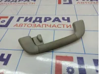 Ручка внутренняя потолочная Toyota Land Cruiser Prado (J150)
