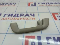 Ручка внутренняя потолочная Toyota Land Cruiser Prado (J150)