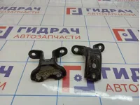 Петли двери передней левой Toyota Land Cruiser Prado (J150)