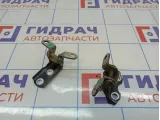 Петли двери задней левой Toyota Land Cruiser Prado (J150)