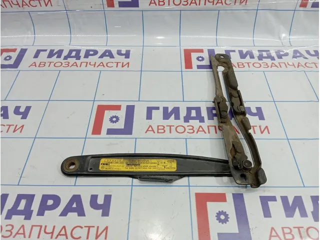 Ограничитель двери багажника Toyota Land Cruiser Prado (J120) 68091-60010