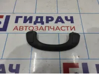 Ручка внутренняя потолочная Toyota Land Cruiser Prado (J120) 74603-60010-B1
