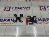 Петли двери багажника Toyota Land Cruiser Prado (J120) 68801-60050