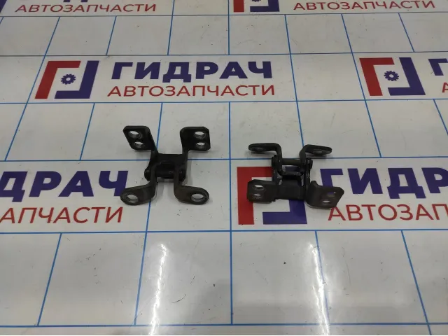 Петли двери багажника Toyota Land Cruiser Prado (J120) 68801-60050
