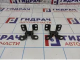 Петли двери багажника Toyota Land Cruiser Prado (J120) 68801-60050