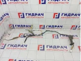 Проводка двери задней левой Toyota Prius 8215447070
