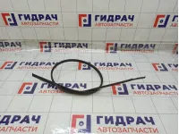 Молдинг крыши левый Toyota Prius