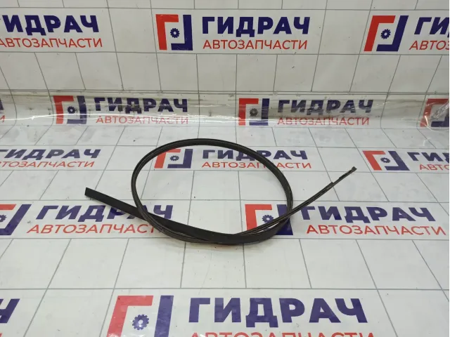 Молдинг крыши правый Toyota Prius