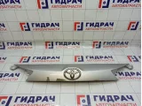 Накладка двери багажника Toyota RAV4 (XA40) 76801-42230