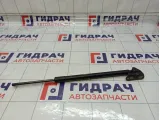 Амортизатор двери багажника левый Toyota RAV4 (XA40) 68960-0R010