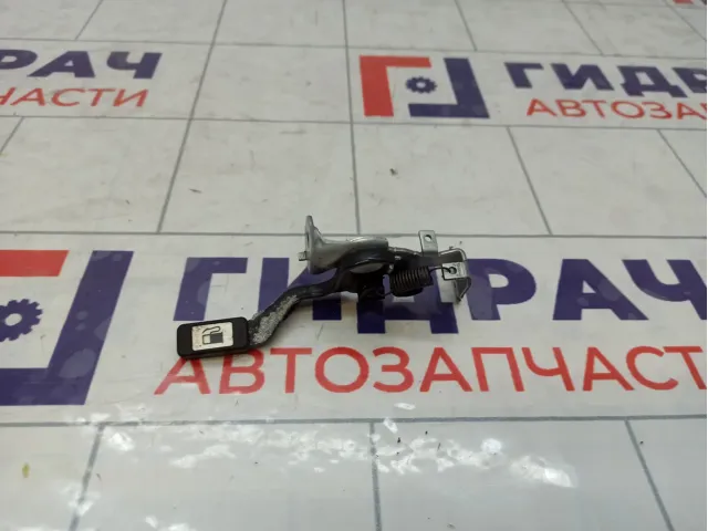 Ручка открывания лючка бензобака Toyota RAV4 (XA40) 77306-32020