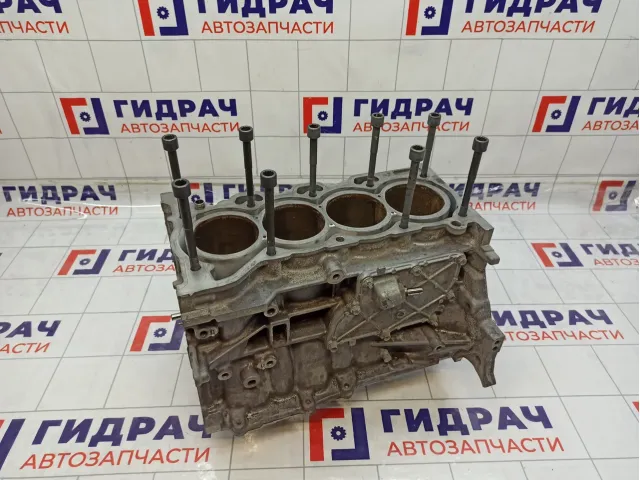 Блок двигателя Toyota RAV4 (XA40) 11410-39035