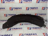Локер задний левый Toyota RAV4 (XA40) 65638-42010