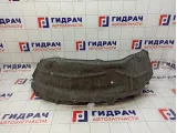 Локер задний левый Toyota RAV4 (XA40) 65638-42010