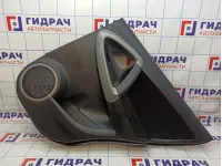 Обшивка двери задней правой Toyota RAV4 (XA30) 67630-42330-B0