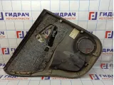 Обшивка двери задней правой Toyota RAV4 (XA30) 67630-42330-B0