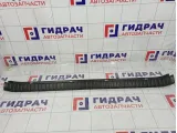Обшивка багажника на заднюю панель Toyota RAV4 (XA30) 58387-42050-B0