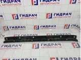 Обшивка багажника на заднюю панель Toyota RAV4 (XA30) 58387-42050-B0