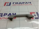 Ручка внутренняя потолочная Toyota RAV4 (XA30) 74610-52020-B0