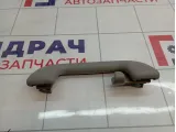 Ручка внутренняя потолочная Toyota RAV4 (XA30) 74610-52030-B0