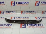 Пыльник переднего левого крыла Toyota RAV4 (XA30) 53828-42060