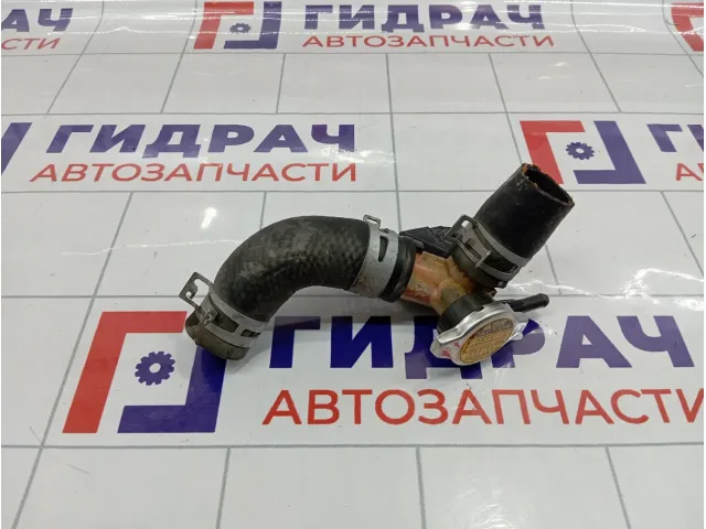 Горловина радиатора Toyota Vitz (XP10) 1650221010