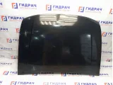 Капот UAZ Patriot 316306840201000