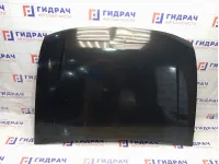 Капот UAZ Patriot 316306840201000
