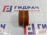 Шкив водяного насоса (помпы) UAZ Patriot 040624130705300