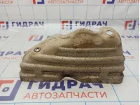 Экран тепловой Volkswagen Golf Plus (Mk5) 06A253041AE.