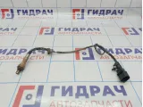 Датчик кислородный первый Volkswagen Golf Plus (Mk5) 06A906262BR.