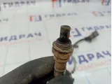 Датчик кислородный первый Volkswagen Golf Plus (Mk5) 06A906262BR.