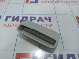 Ниша плафона салонного Volkswagen Golf Plus (Mk5) 1K0868837E.