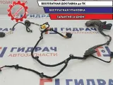 Проводка передней правой двери Volkswagen Passat B6 3C1971121DE.
