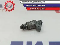 Форсунка Volkswagen Passat B6 06A906031BT.