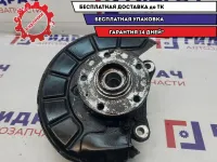 Кулак поворотный передний правый Volkswagen Passat B6 3C0407254F.